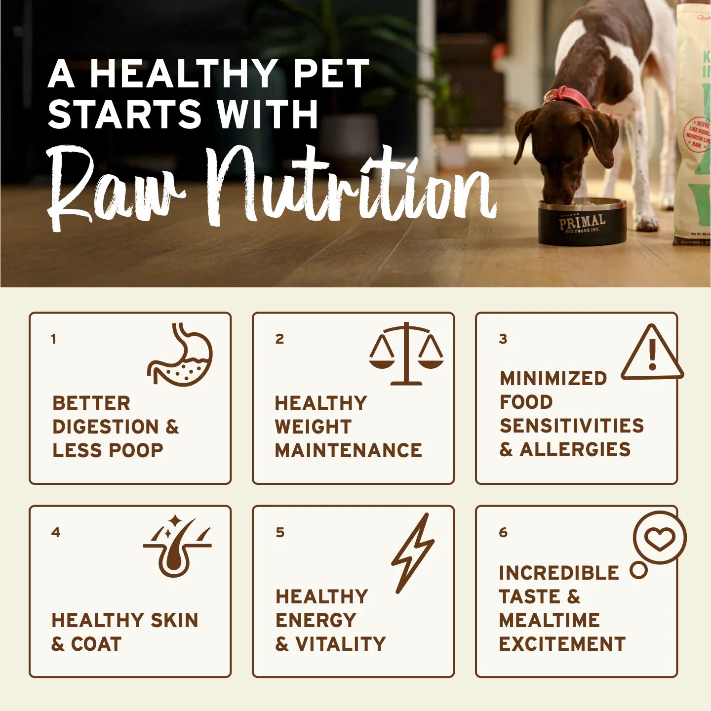 Primal Freeze-Dried Raw Dog Food - Turkey & Sardine Recipe