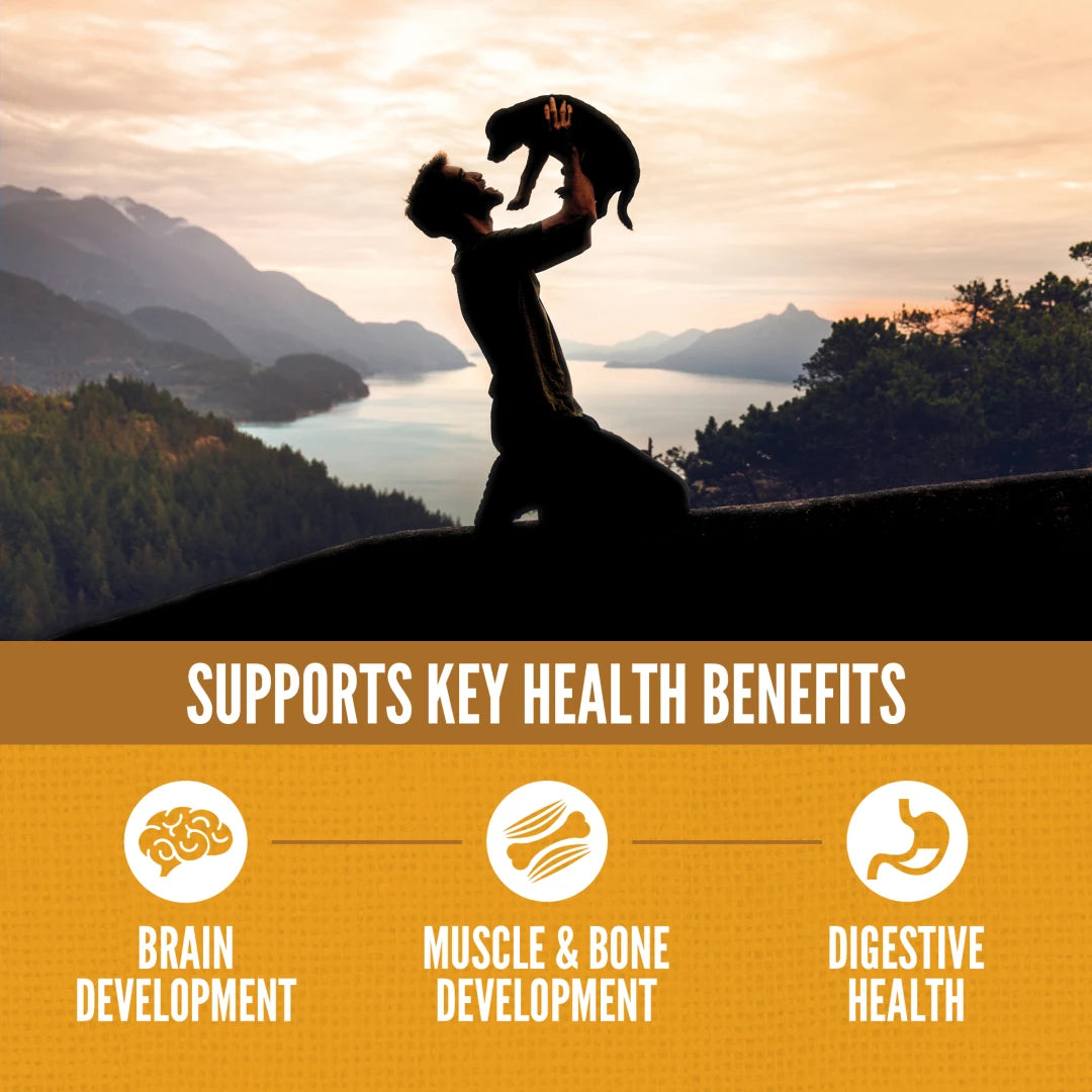 ORIJEN Amazing Grains Puppy Dog Food