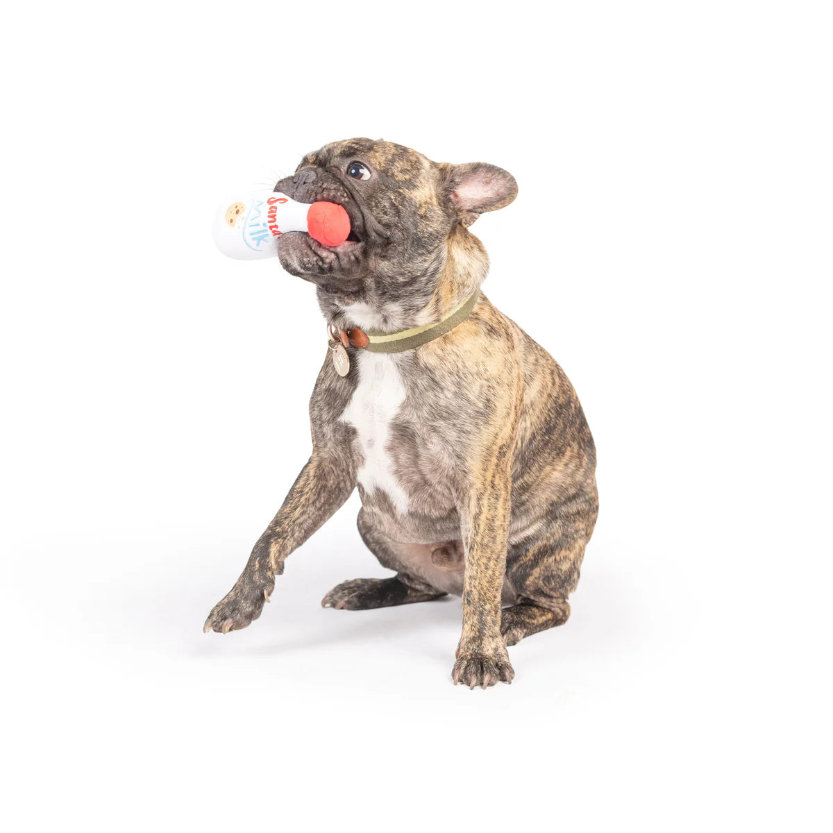 Tiny Tuff Santa's Milk Dog Toy