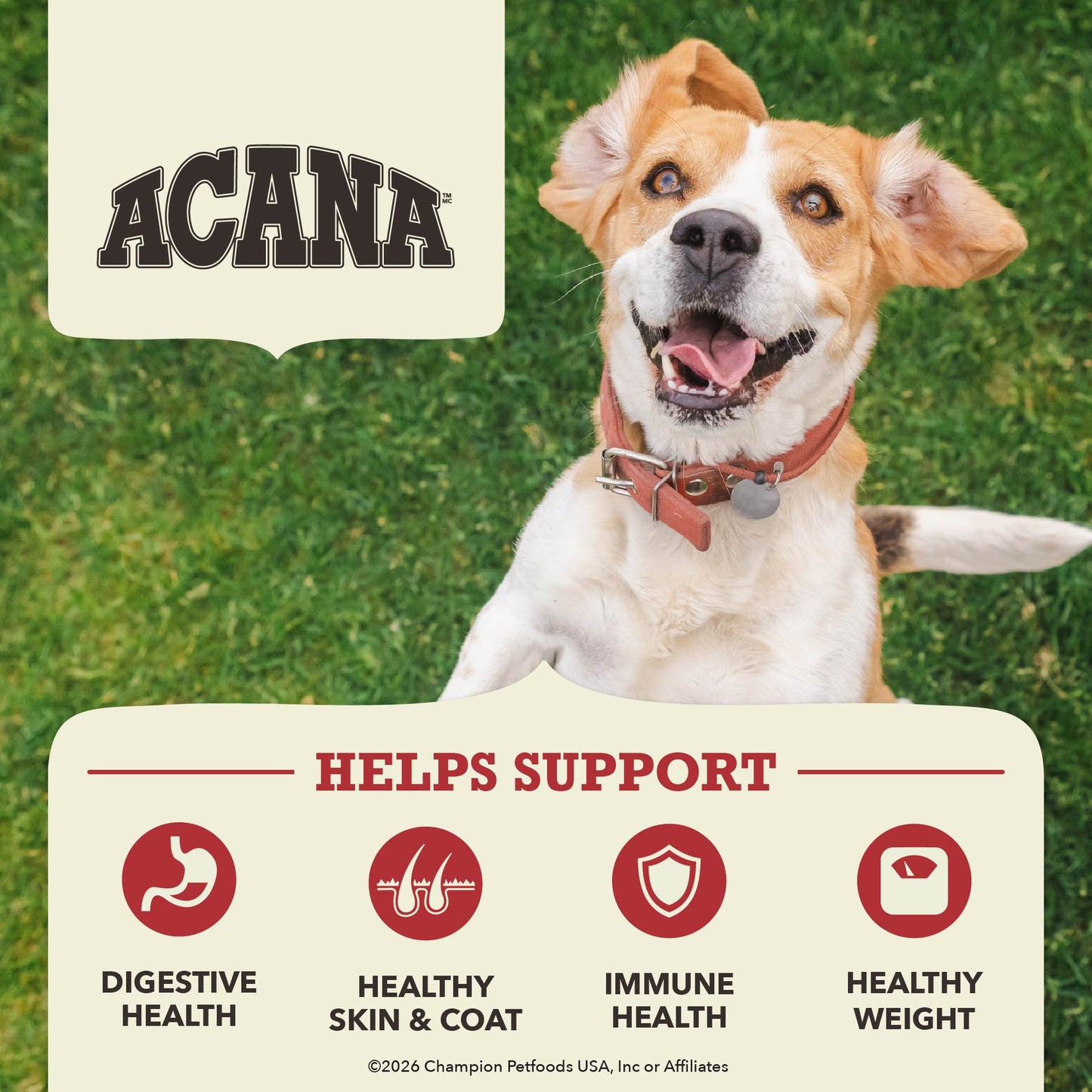 ACANA Dog Red Meat Recipe Dog Food