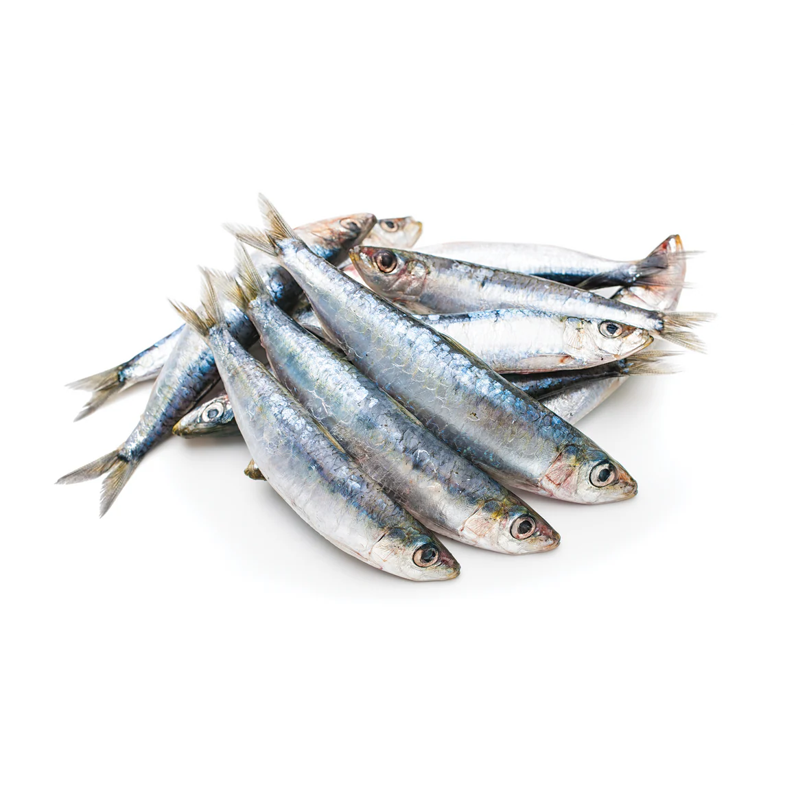 Iron Will Sardines for Dogs