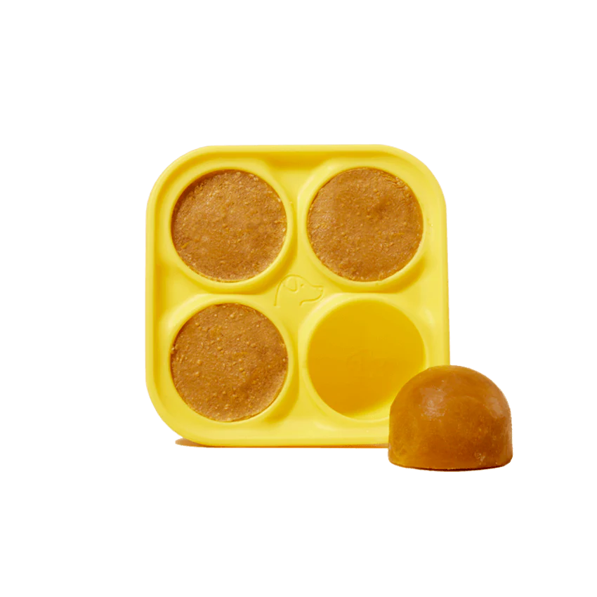 Woof Pupsicle Treat Tray