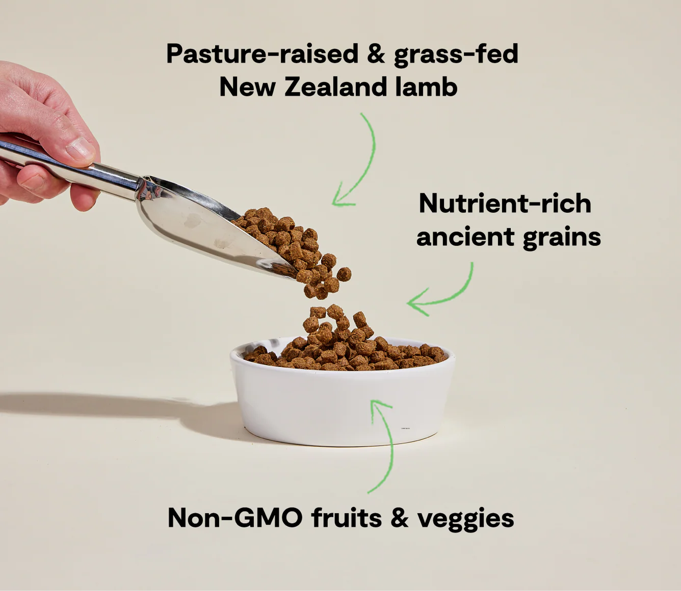 Open Farm Pasture-Raised Lamb & Ancient Grains Dog Food