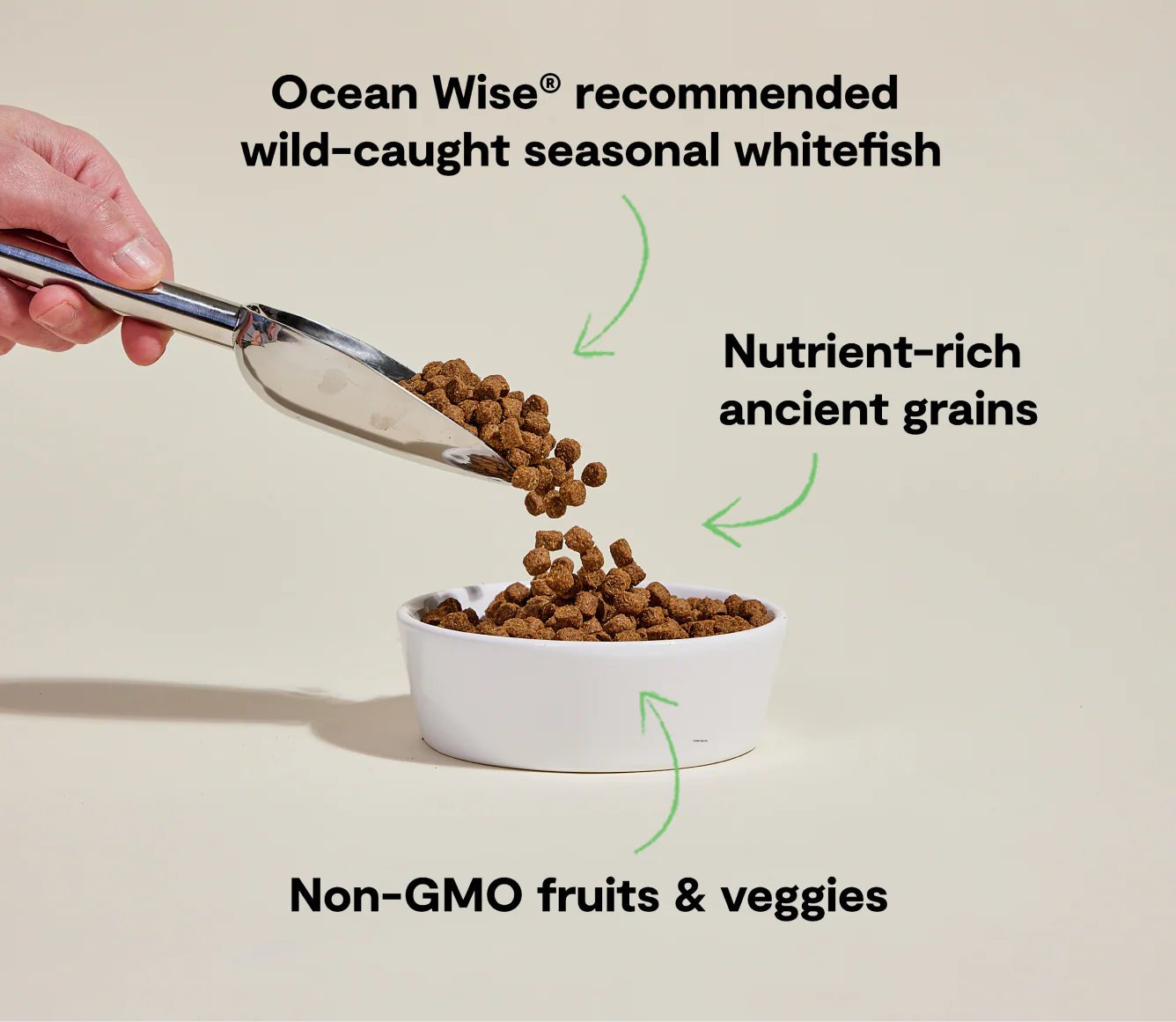 Open Farm Whitefish & Ancient Grains Dog Food