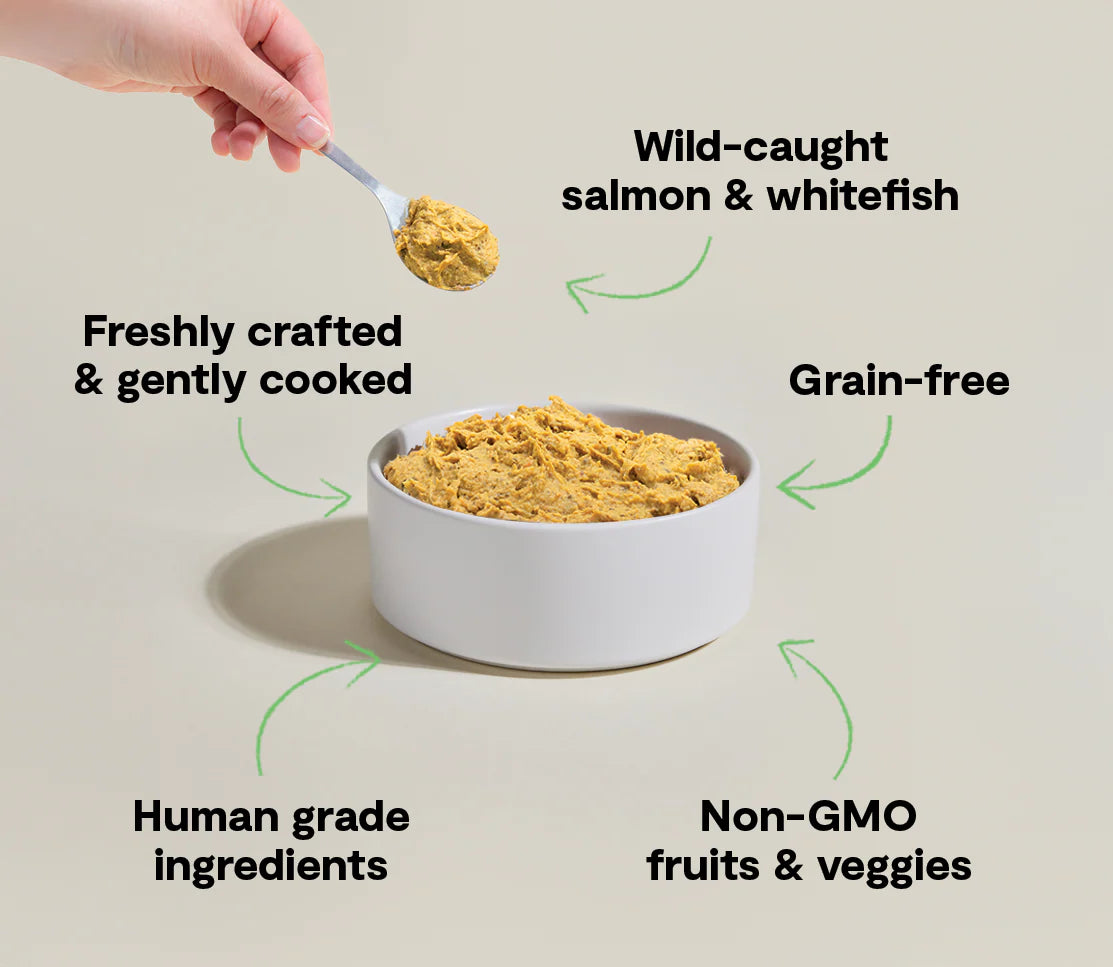 Open Farm Gently Cooked Dog Food - Wild-Caught Fish Recipe