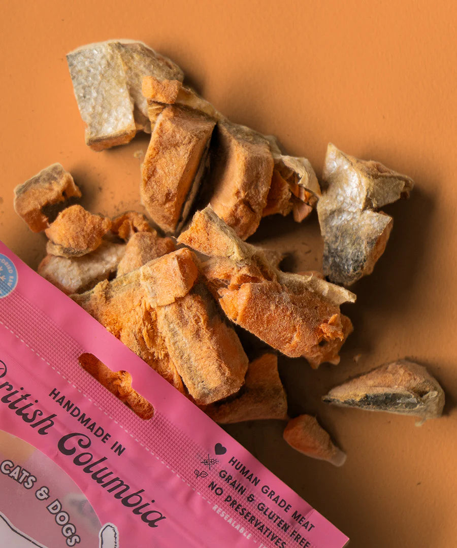 Wild Vibes Treat Co. Salmon & Bone Broth Dog Treats