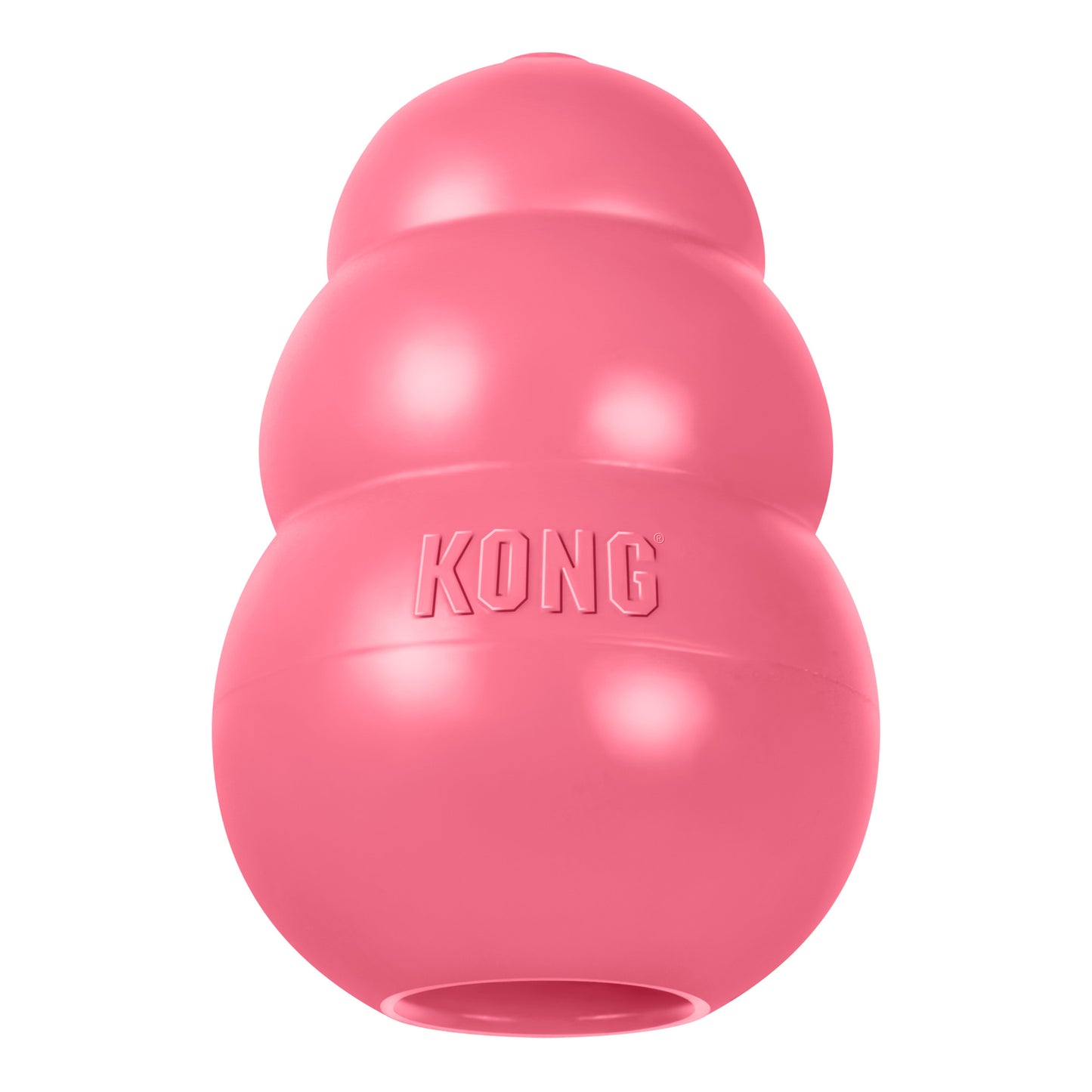 KONG Puppy Dog Toy
