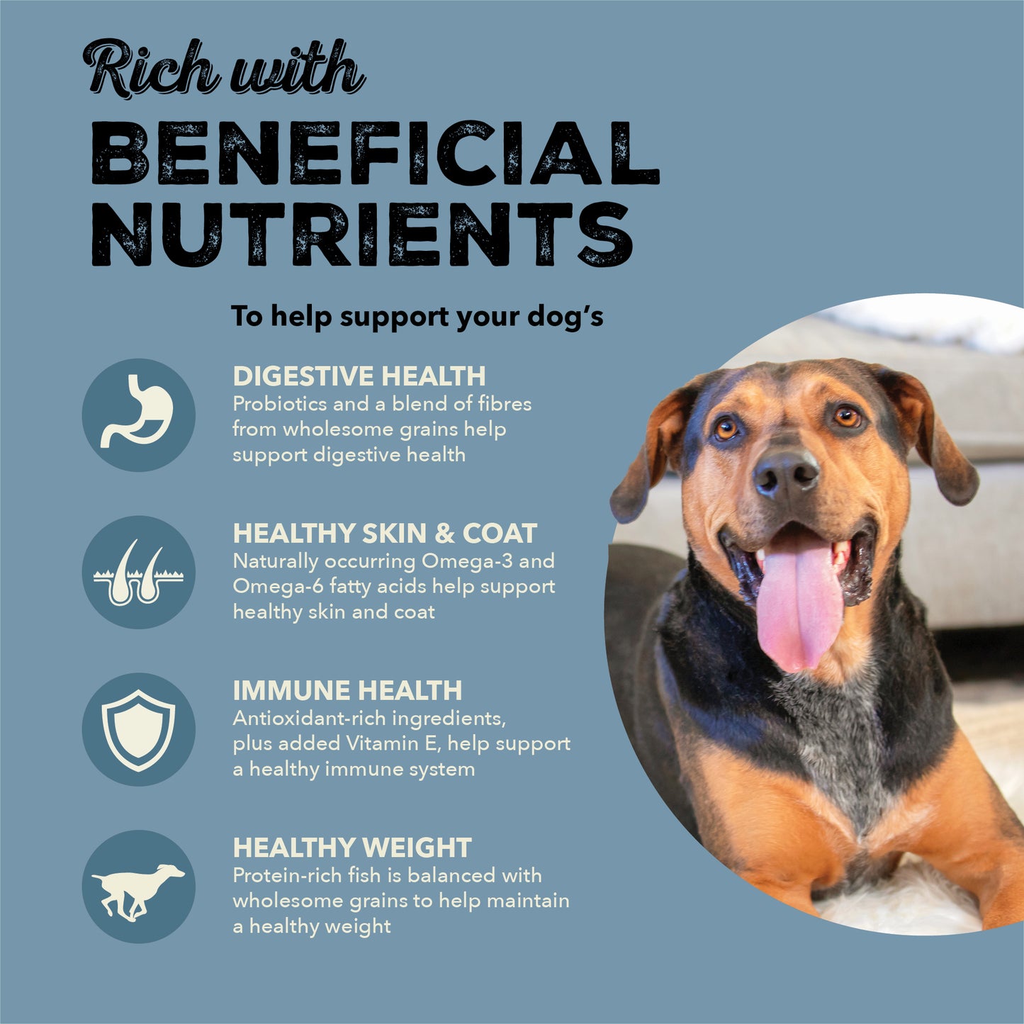 ACANA Healthy Grains Sea to Stream Recipe Dog Food