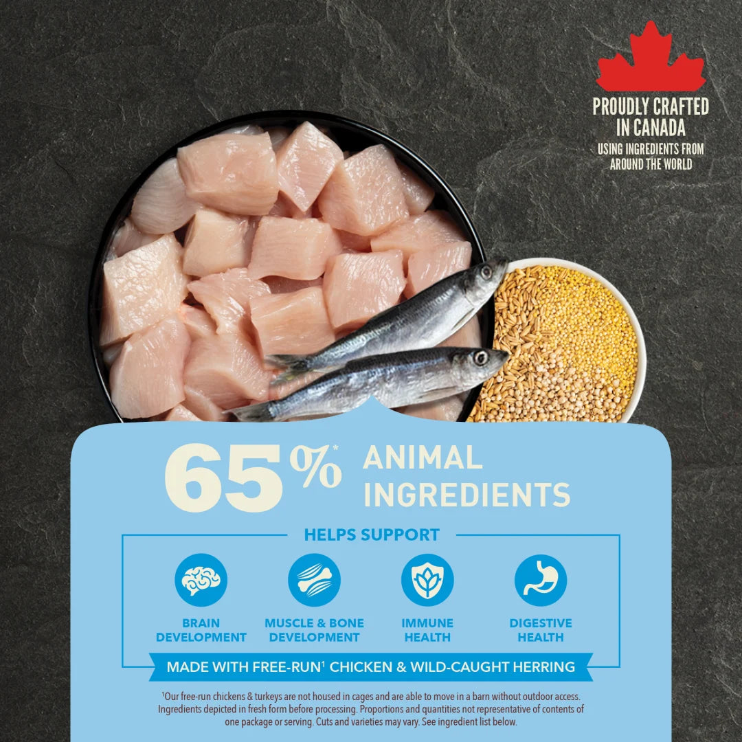 ACANA Healthy Grains Puppy Dog Food