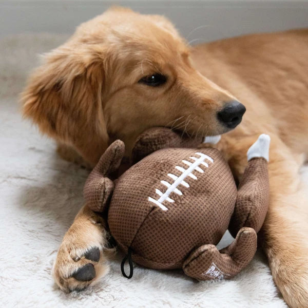 Turkey Bowl Dog Toy
