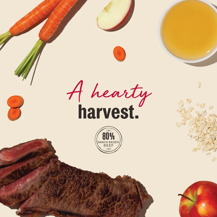The Honest Kitchen Beef Jerky Harvest Bars