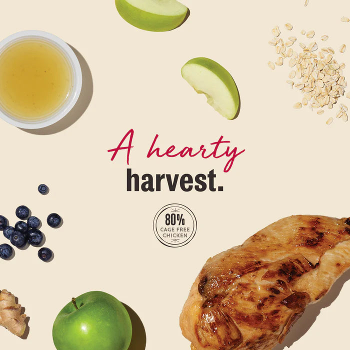 The Honest Kitchen Chicken Jerky Harvest Bars