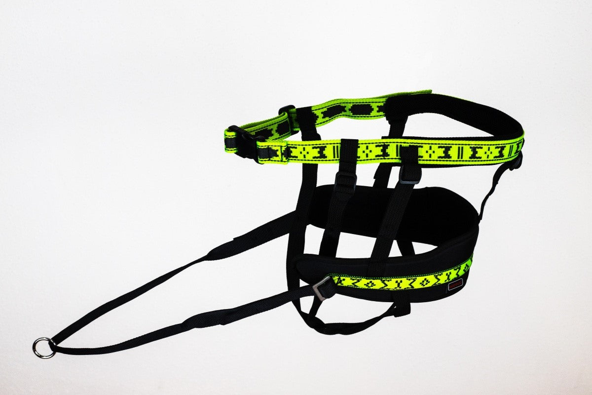 Manmat Canicross/Skijoring Race Pro Belt