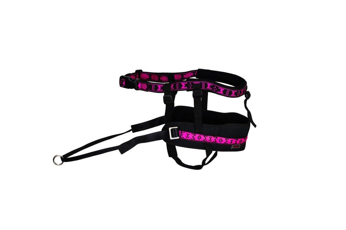 Manmat Canicross/Skijoring Race Pro Belt