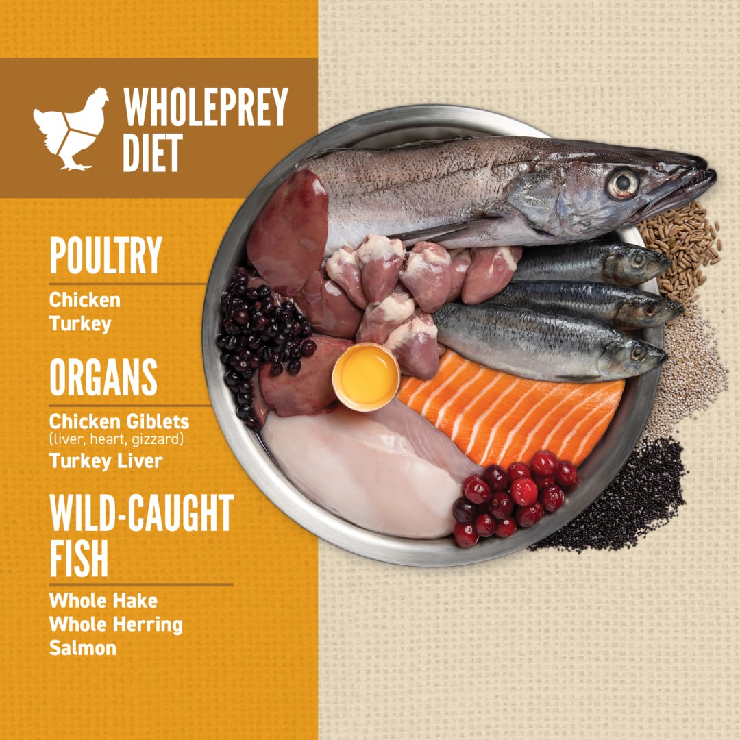 ORIJEN Amazing Grains Puppy Dog Food