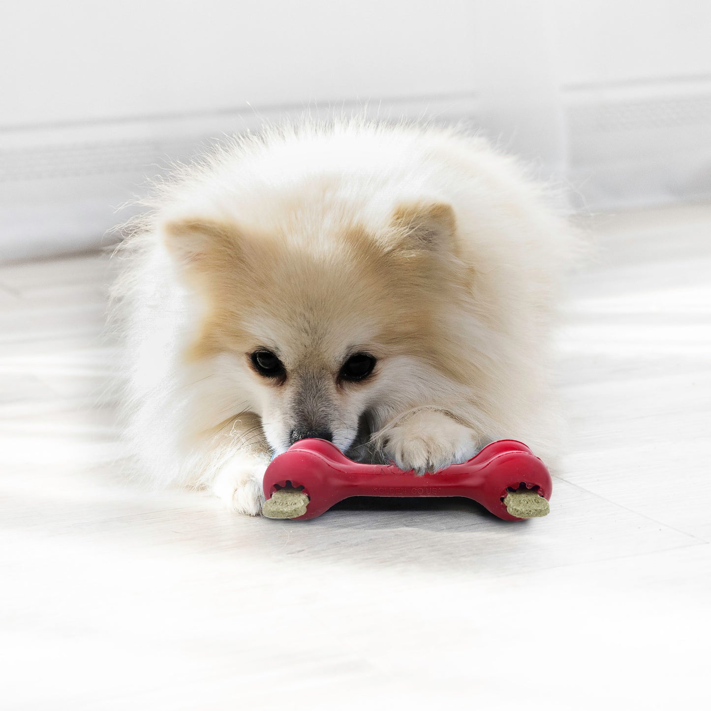 KONG Goodie Bone Dog Toy