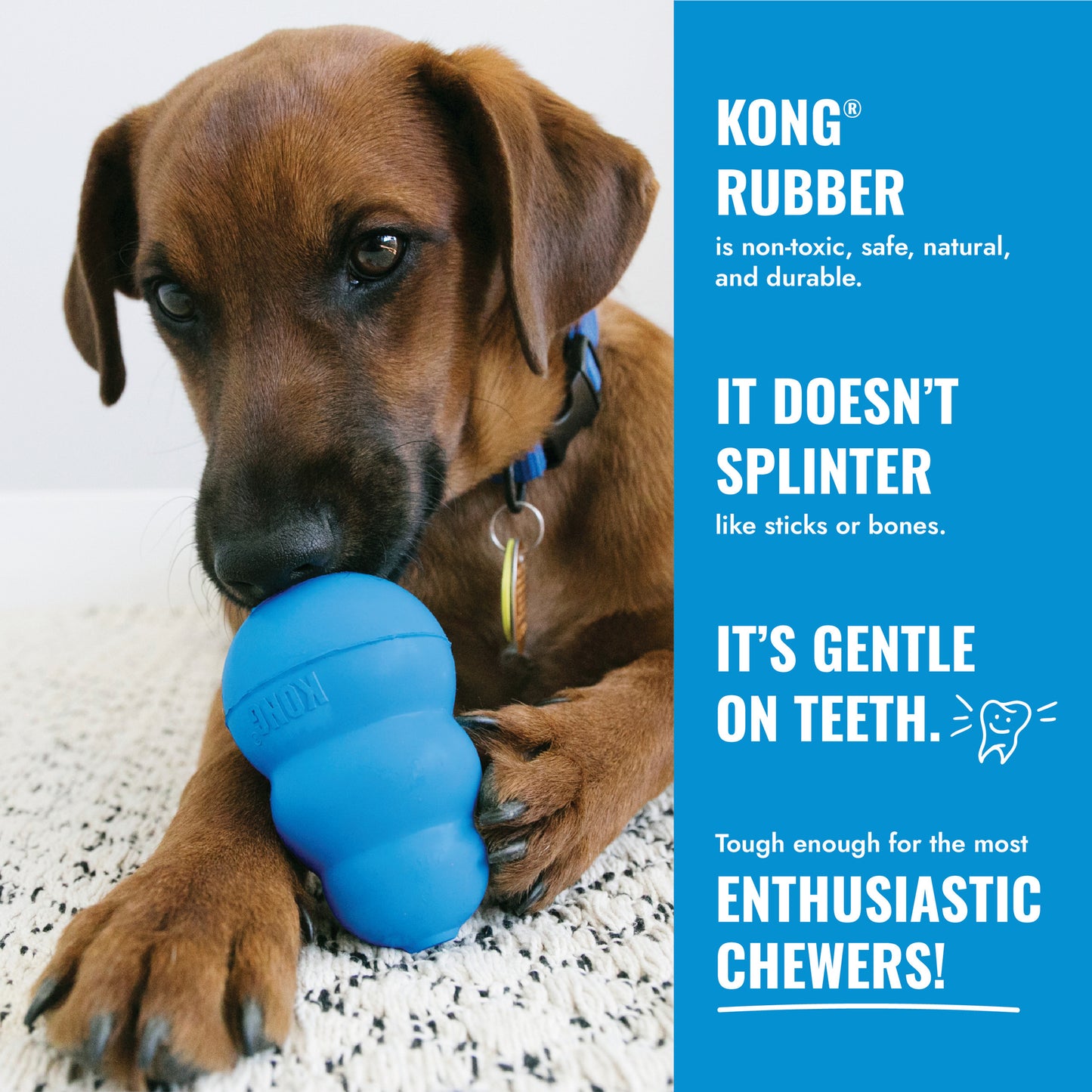 KONG Puppy Dog Toy