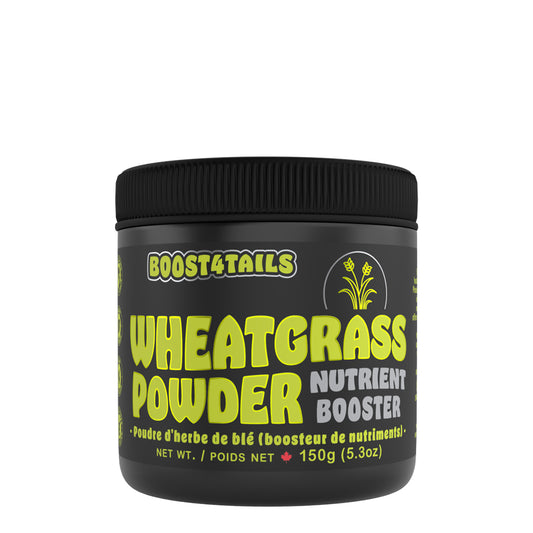 Boost 4 Tails Wheatgrass Powder Supplement for Dogs