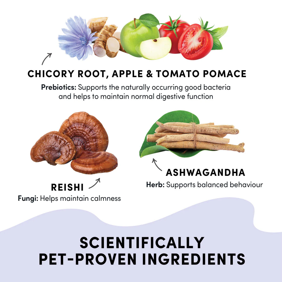 Crumps Gutsy Calm Bites Dog Treats