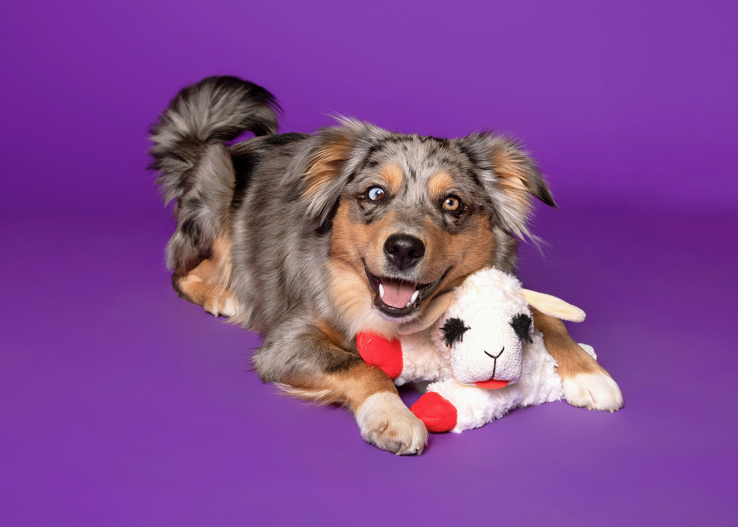 Multipet Lamb Chop Dog Toy