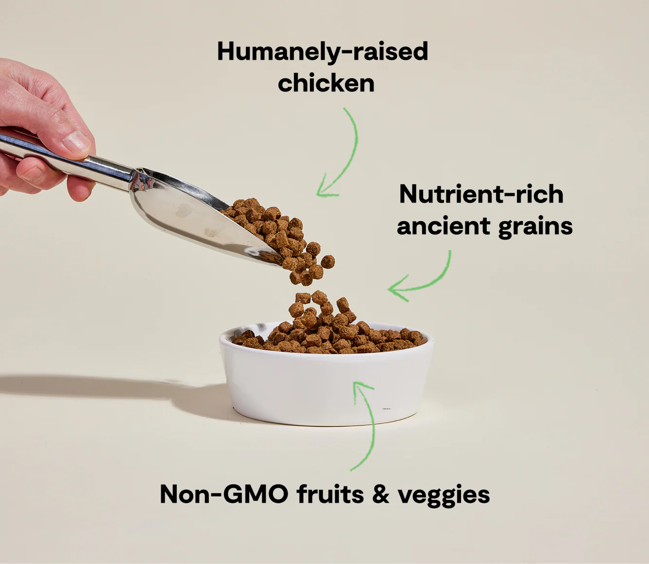 Open Farm Homestead Harvest Chicken & Ancient Grains Dog Food