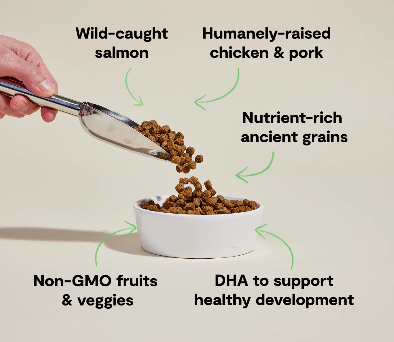 Open Farm Chicken & Salmon Ancient Grains Puppy Dog Food