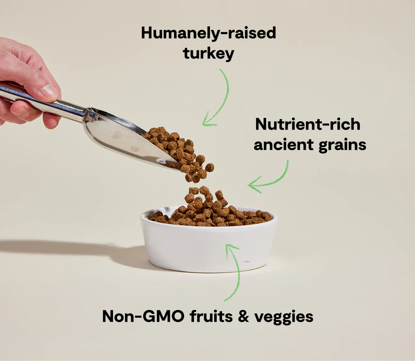 Open Farm Homestead Turkey & Ancient Grains Dog Food