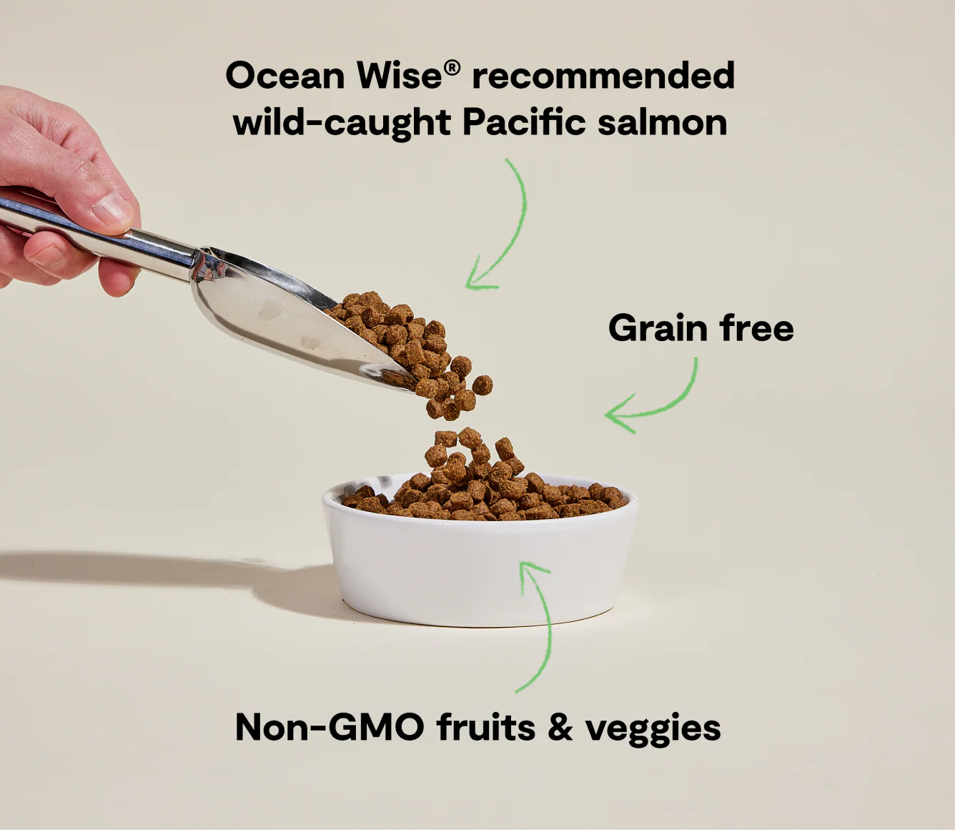 Open Farm Wild-Caught Salmon Grain-Free Dog Food