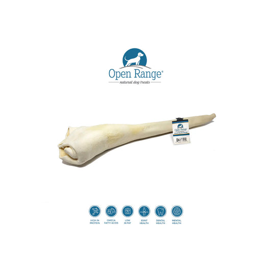 Open Range Full Length Bull Tail Dog Chew