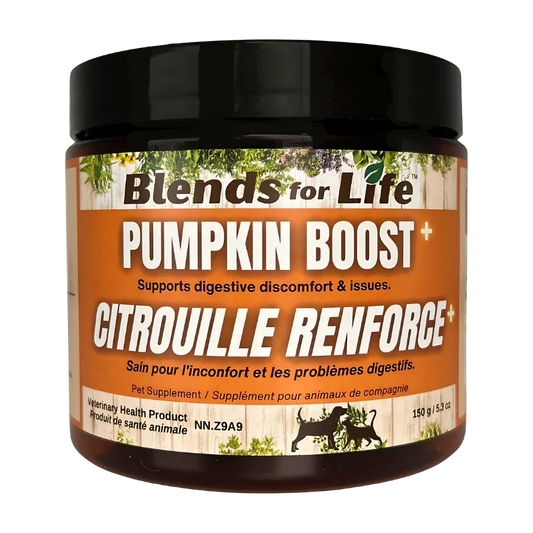 Blends for Life Pumpkin Boost+ Supplement for Dogs