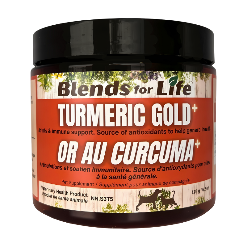 Blends for Life Turmeric Gold+ Supplement for Dogs