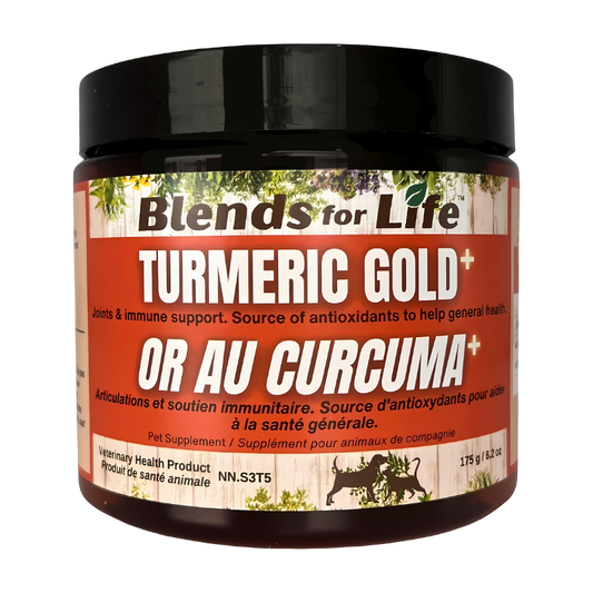 Blends for Life Turmeric Gold+ Supplement for Dogs