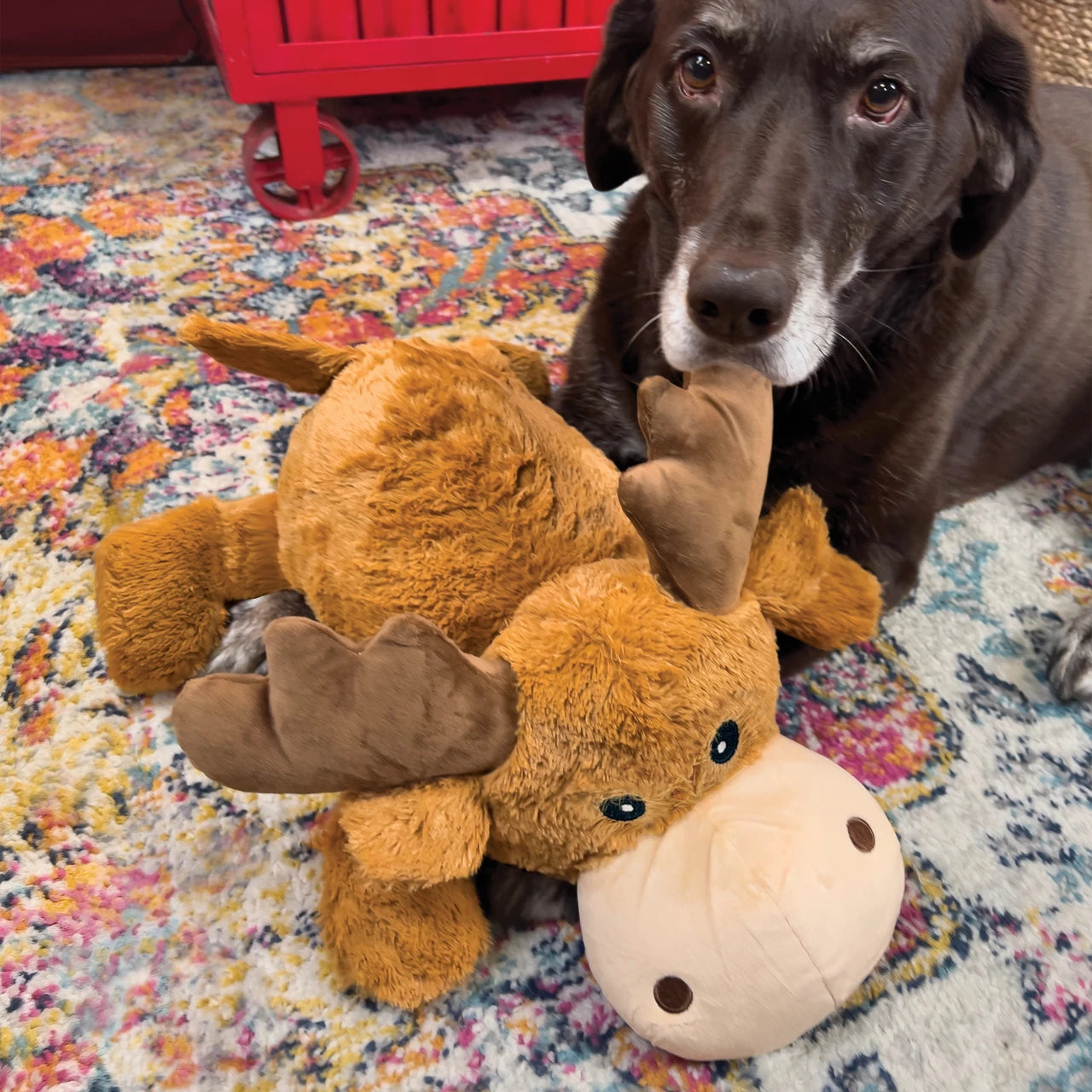 Kong Cozie Jumbo Marvin Moose Dog Toy