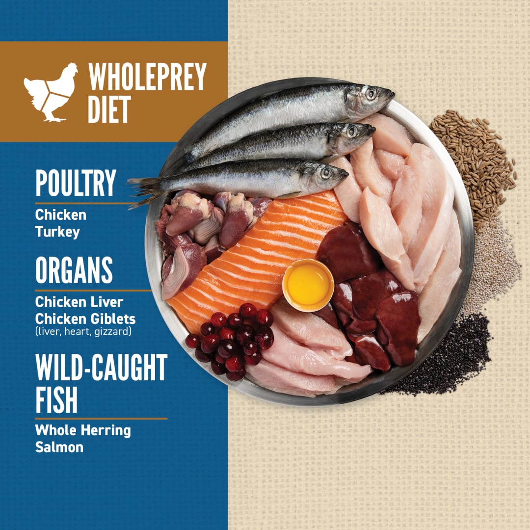 ORIJEN Amazing Grains Original Dog Food