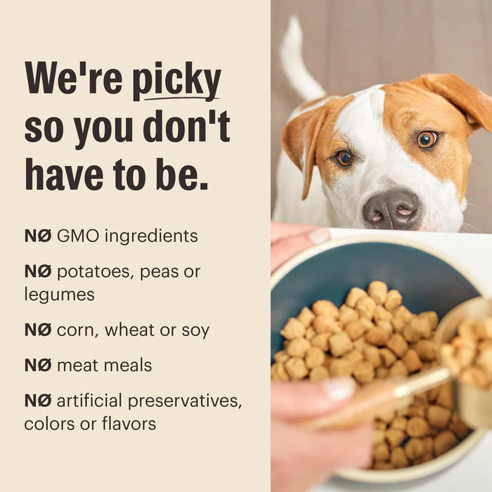The Honest Kitchen Whole Grain Beef & Oat Whole Food Clusters Dog Food