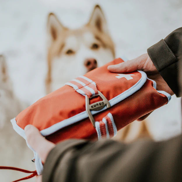 Dog First Aid Kit