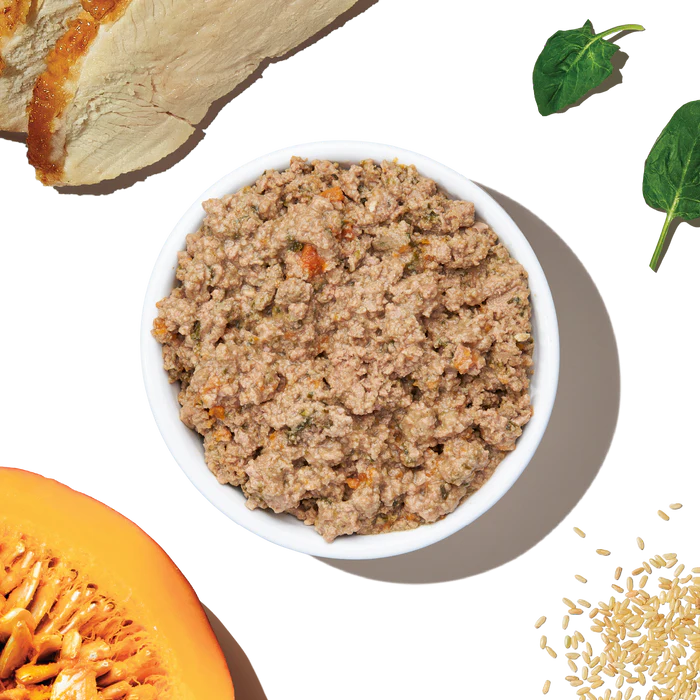 The Honest Kitchen Turkey & Autumn Veggies Butcher Block Pâté Dog Food