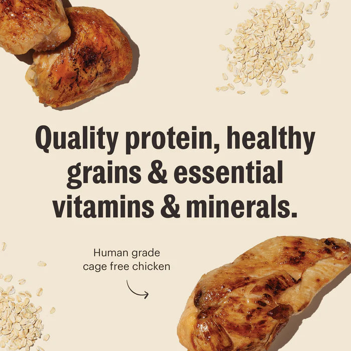 The Honest Kitchen Whole Grain Chicken Essential Clusters Dog Food