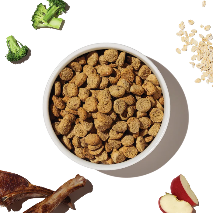 The Honest Kitchen Whole Grain Lamb Whole Food Clusters Dog Food