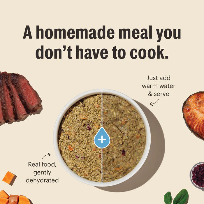 The Honest Kitchen Wholemade Whole Grain Turkey Dehydrated Dog Food