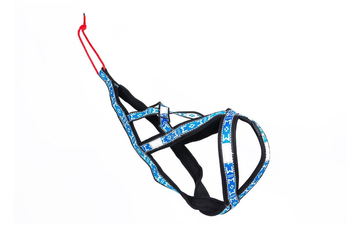 Manmat Sled/Canicross Harness - Balto Sports Ltd.