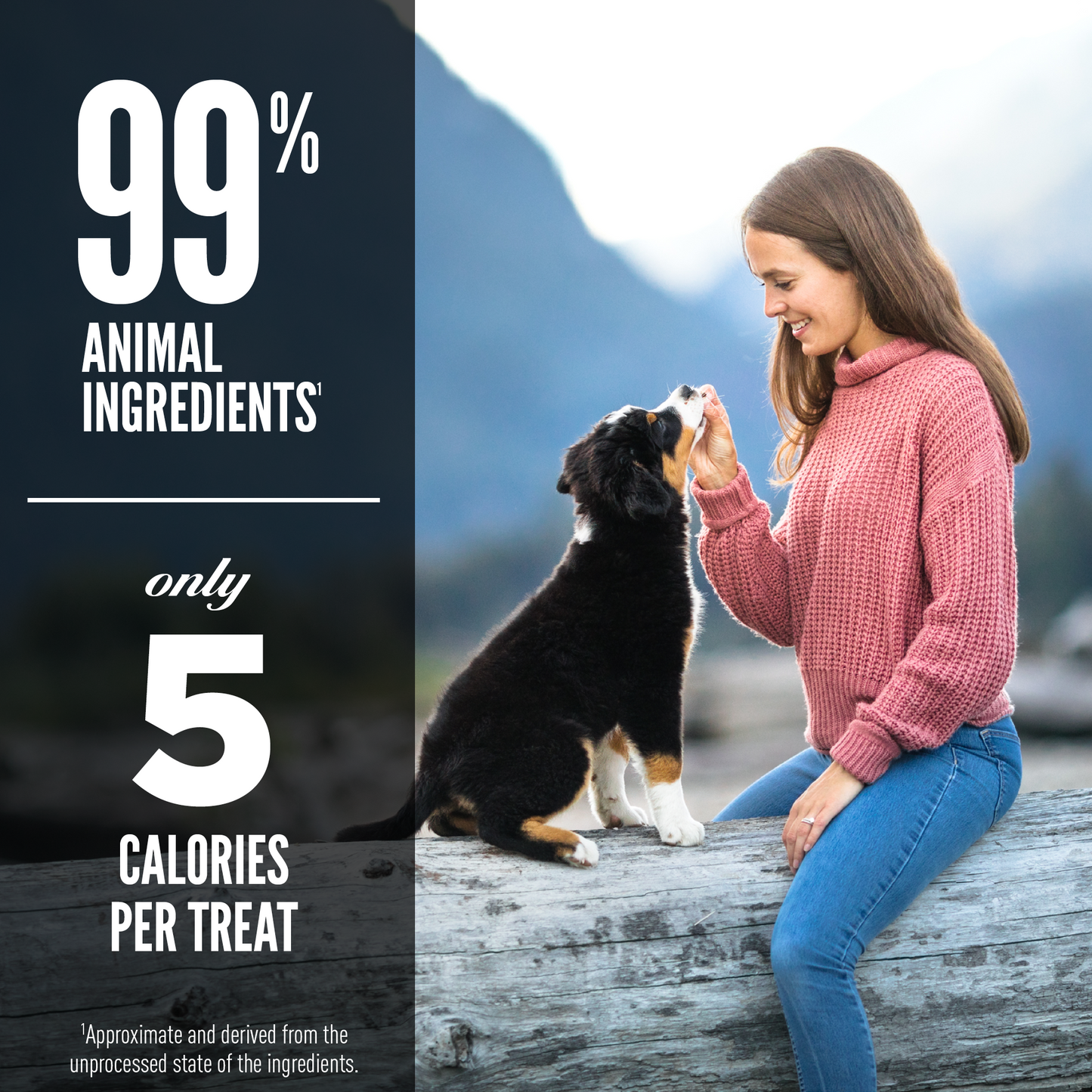 ORIJEN Freeze Dried Dog Treats, Beef