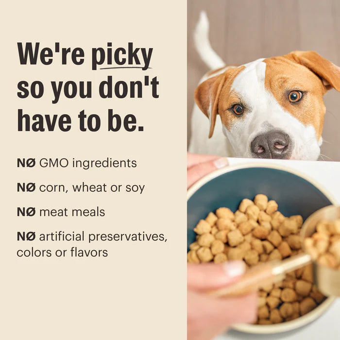 The Honest Kitchen Whole Grain Lamb Whole Food Clusters Dog Food