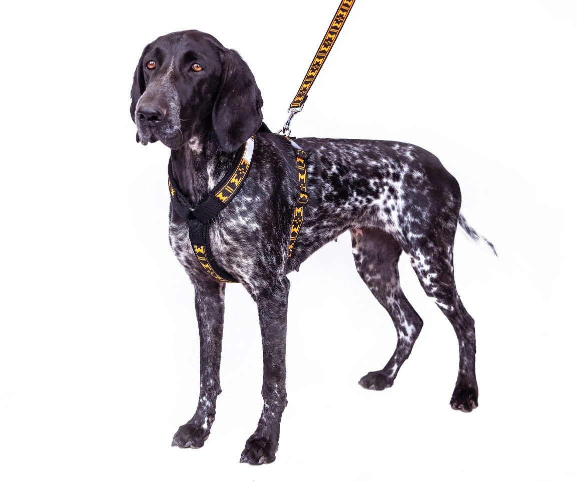 Manmat SMART Harness