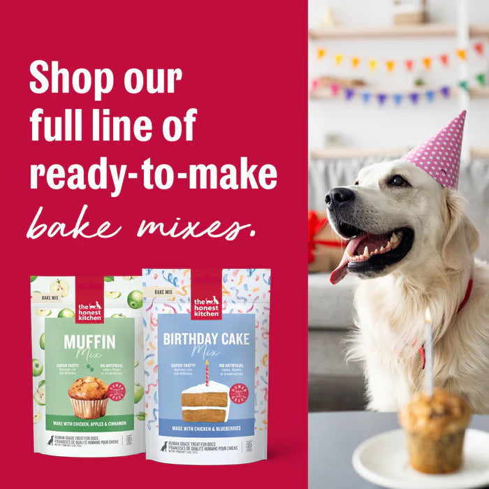 The Honest Kitchen Birthday Cake Mix made with Chicken & Blueberries for Dogs